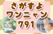 ペットのワンちゃん・ネコちゃんが行方不明になった場合はコチラ